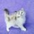 Carol Steiner's profile image