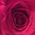 Dawn Shamblen-Goff's profile image