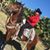 Jorge Arjona's profile image