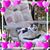 Janet Amber's profile image