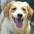 Eileen Jewett's profile image