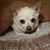 Debra Marshall's profile image
