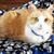 Kristi Gramley Filter's profile image