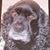 Katie Robinson's profile image