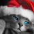 Joyce Ward's profile image