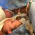 Tony N Tania Rodriguez's profile image