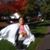 Terry Koczorowski's profile image