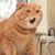 Marc Breimer's profile image