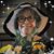 Shirley Moloney's profile image