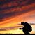 David Bishop's profile image