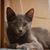 Mary-grace Healy's profile image