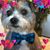 Jill Kaintz's profile image