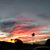 Sue Van Horn-Centanni's profile image