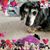 Linda Wilbur's profile image