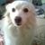 Yindrila Chakrabarty's profile image