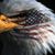 John Barry's profile image