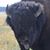 Jon Frazier's profile image