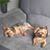 Sabine Van Goethem's profile image