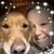 Tish Gordon Mondoux's profile image
