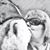 Jennifer Gray-Bendorf's profile image