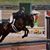 Macy Huckle's profile image