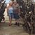 Karen D Franklin's profile image