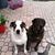 Linda Mielke's profile image