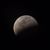 Rieko Barreto's profile image