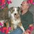 Lulia L. Furness's profile image