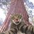 Kathy Klauss Marshall's profile image