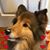 Marcie Lewis's profile image