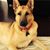 Donna Greco's profile image