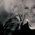 Jaymelyn Stout's profile image