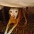James Michael Baker's profile image