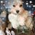 Jacquie Hill's profile image