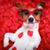 Ken Walther's profile image