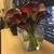 Anita Bridges's profile image