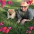 Jamie LeVan's profile image