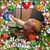 Amy Dion Sullivan's profile image