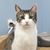 Christine Halkovic's profile image