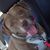 Adam N Lineva Mccullough's profile image