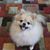 Peggy Martin's profile image