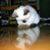 Polly Kam's profile image