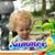 Barb Beamer Loutzenhiser's profile image