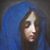 Dawn Adamo Fox's profile image