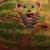 Chris Long's profile image