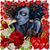Crystal Banks's profile image