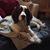 Annabelle Fourty-Two Haid's profile image