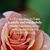 Angela Doggett's profile image