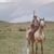 Dave Gramps Craig's profile image